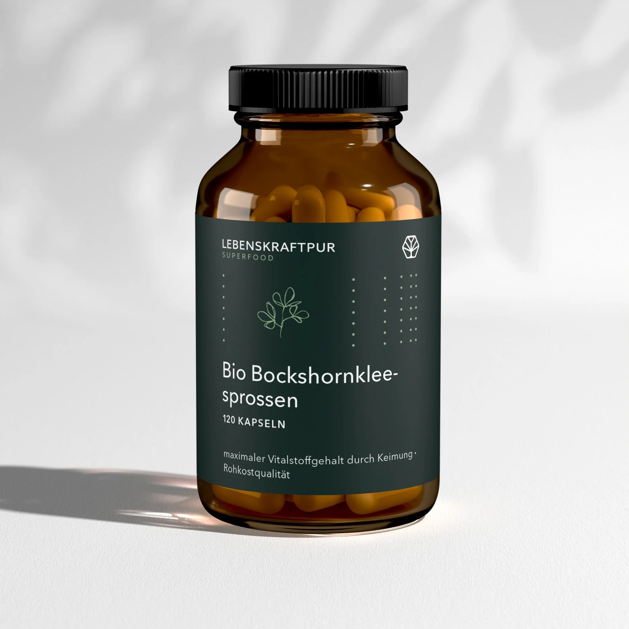 Vorschaubild 1